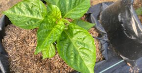 Empowering Women is Non-Negotiable